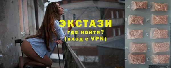 индика Протвино
