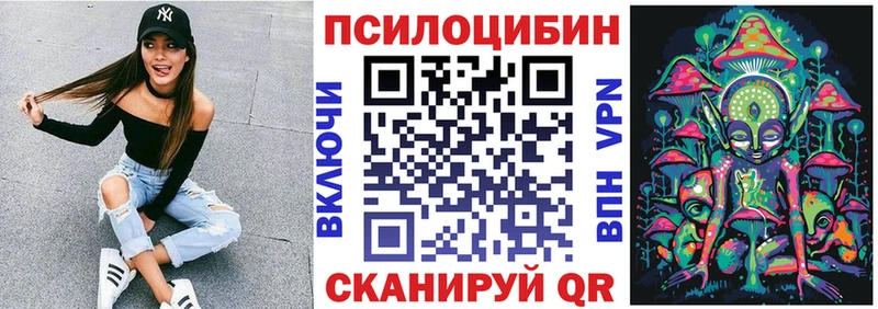 даркнет телеграм Туран Псилоцибиновые грибы Psilocybine cubensis